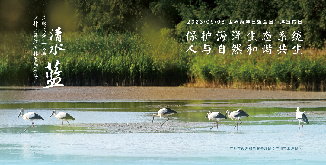 广州市2023年“世界海洋日”暨“全国海洋宣传日”主题海报03.jpg