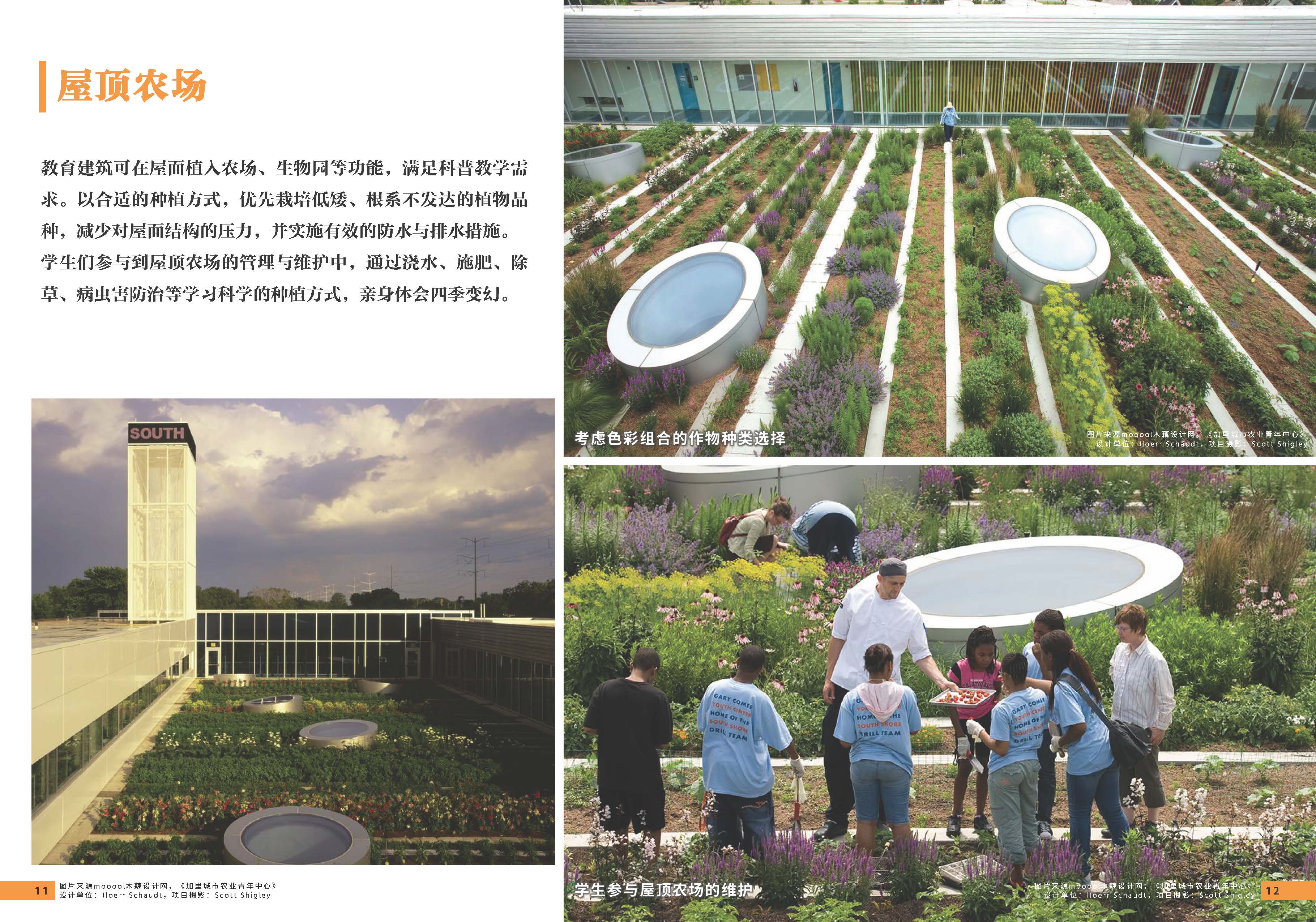 08期设计力量 第五立面 校园（局官网）-更新_页面_08.jpg