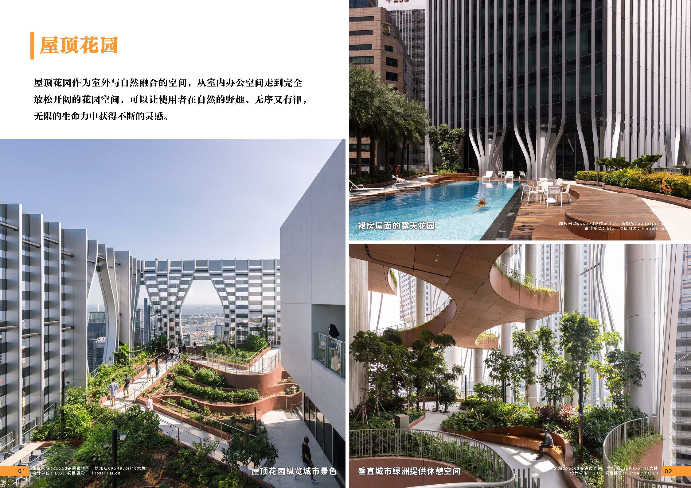 11期设计力量 第五立面 办公（局官网）-更新3224_页面_03.jpg