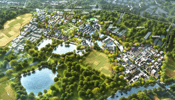 图片 9_调整大小.png