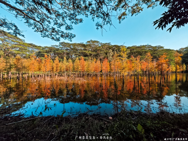 图片 4_调整大小.png