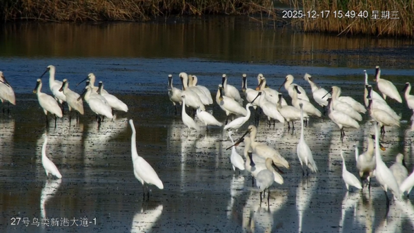 图片 3_调整大小.png